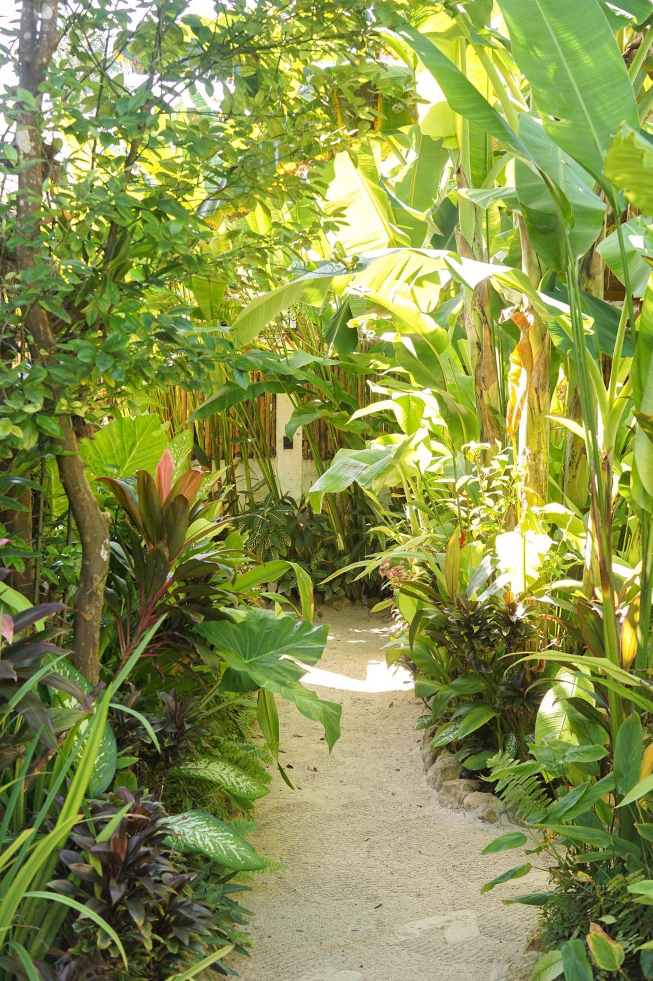 Greenhouse Siargao Roadside Boutique Apartments 卢纳将军城 外观 照片